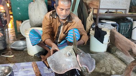 pata fish|FISH OF BANGLADESH .